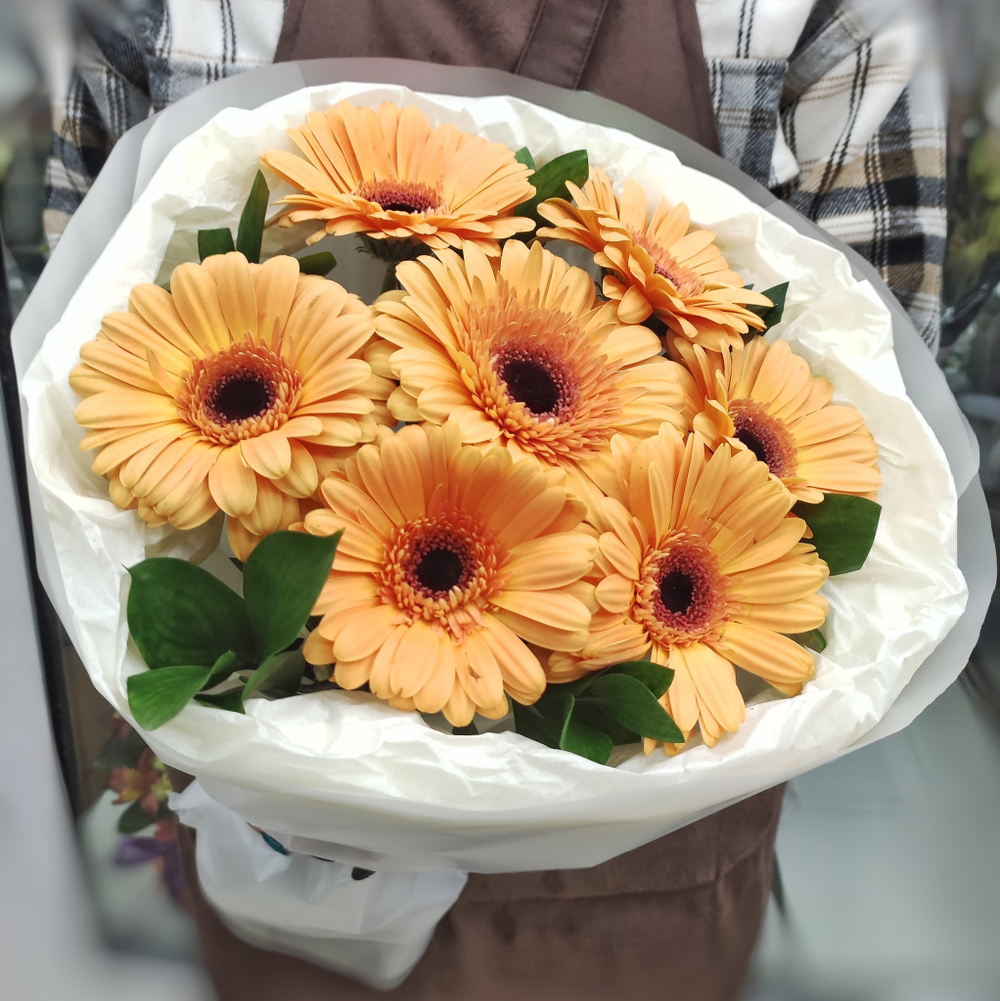 Букет из 7 кремовых гербер в "облачке"