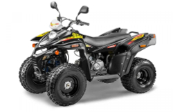 Квадроцикл СТЕЛС ATV 110A HUGO