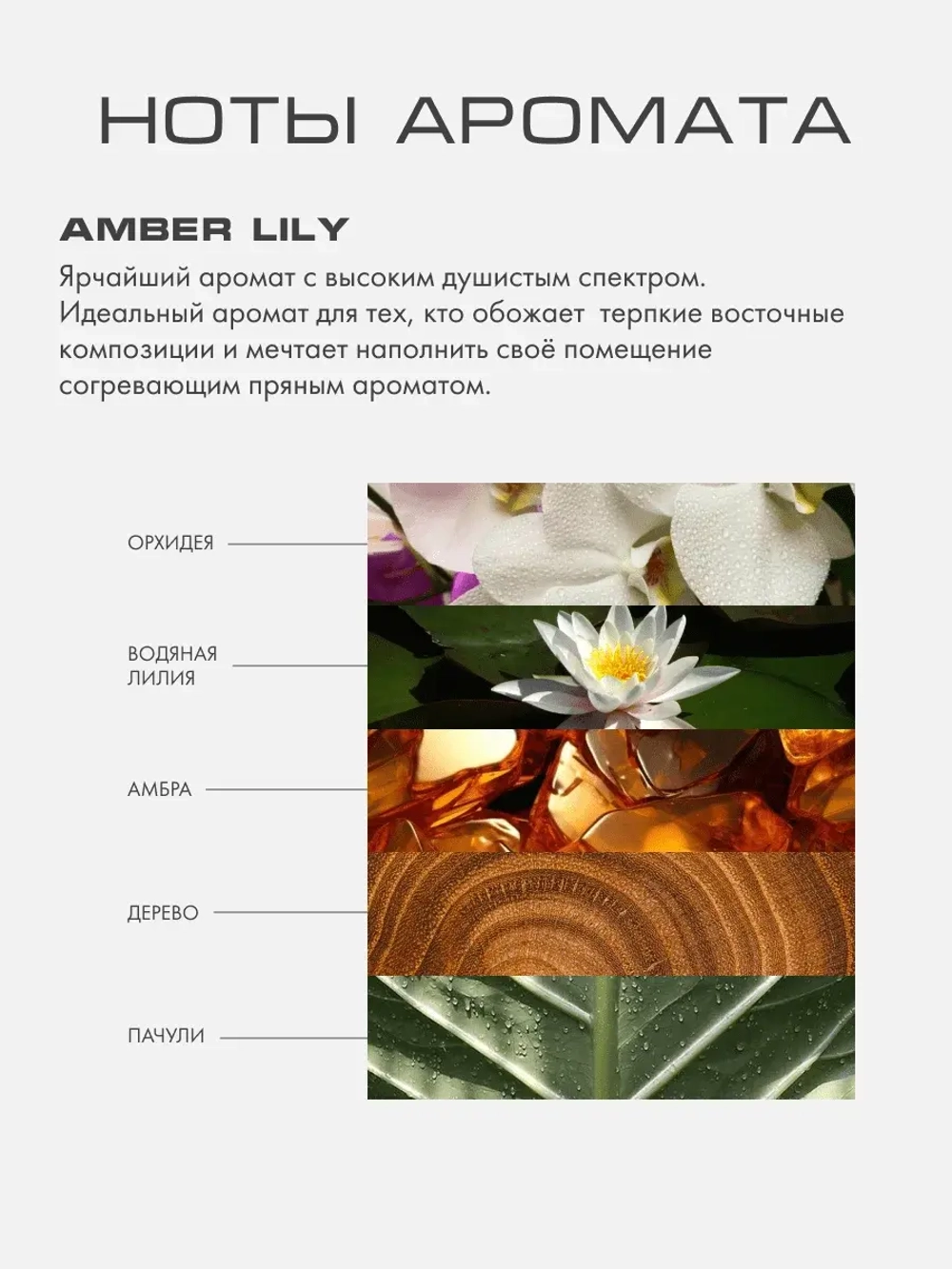 Свеча AMBER LILY
