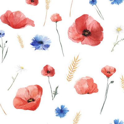 Маковое поле