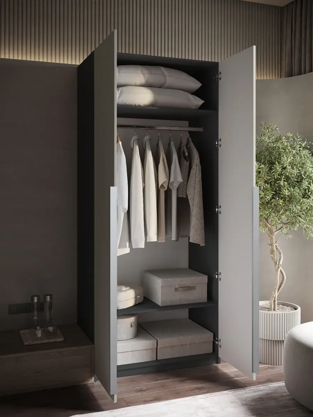 Шкаф распашной 100х50х220 двухдверный Mirage 4