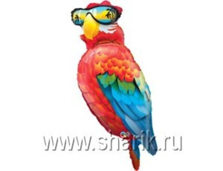 П ФИГУРА 6 Попугай в очках