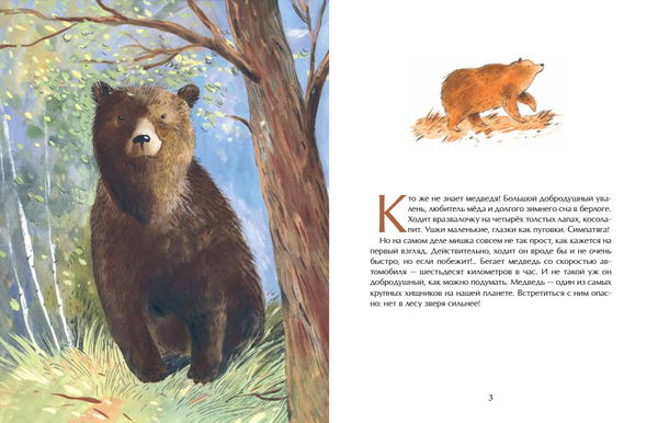 Мишка. Самый русский зверь