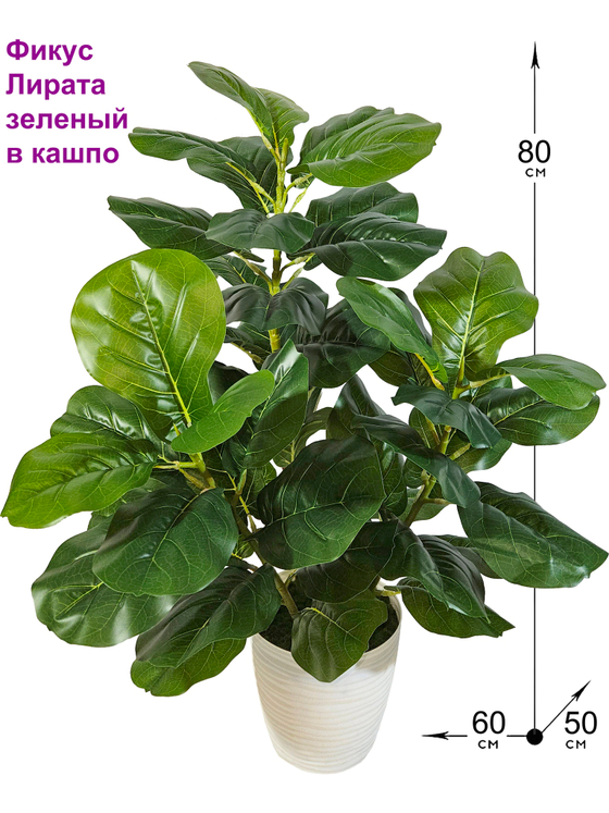 Искусственное растение Фикус Лирата зеленый в кашпо