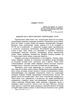 Фауна СССР. Губки. Том II. Выпуск 2.  Пресноводные губки | Резвой П.Д.