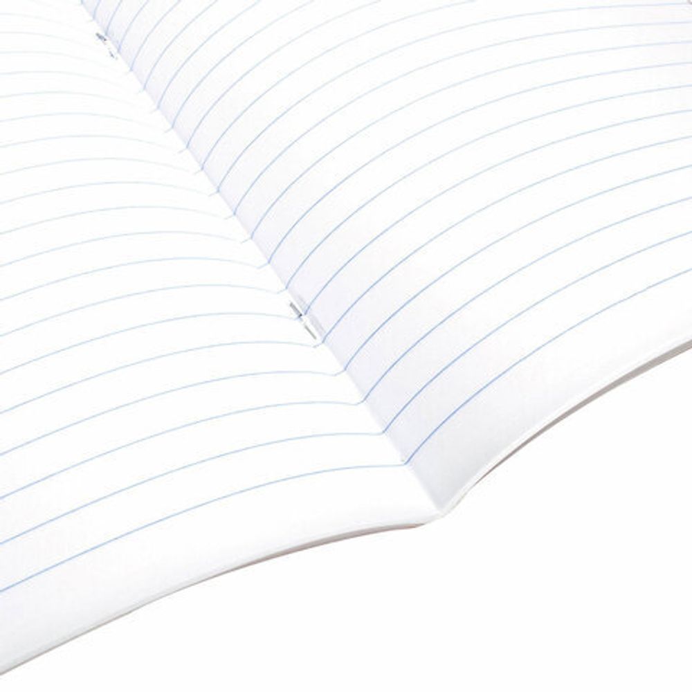 Тетрадь предметная ANIME 48 л., глянцевый УФ-лак, ЛИТЕРАТУРА, линия, BRAUBERG, 404540