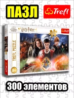 Пазлы для детей 5 6 7 8 лет 300 элементов Гарри Поттер