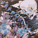 The Shins / The Worms Heart (CD)