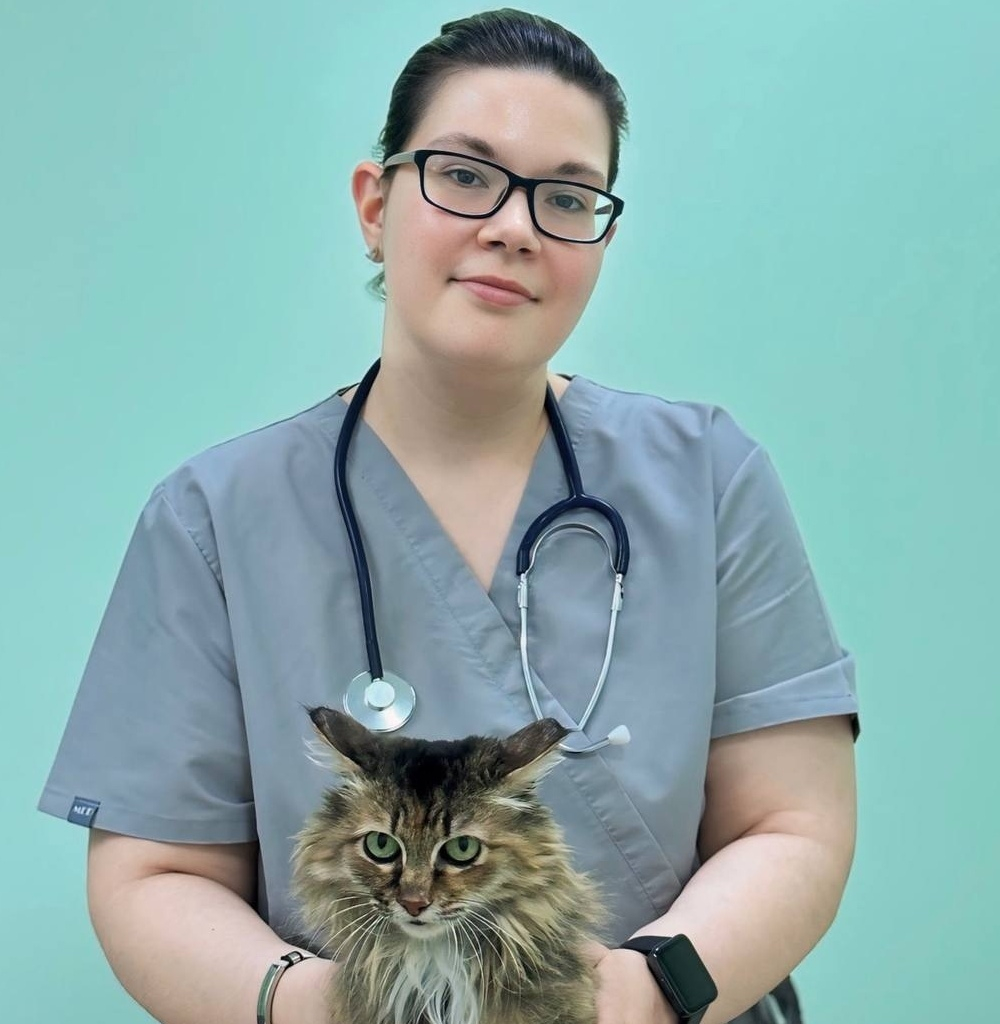 Эндоскопическая стерилизация/кастрация