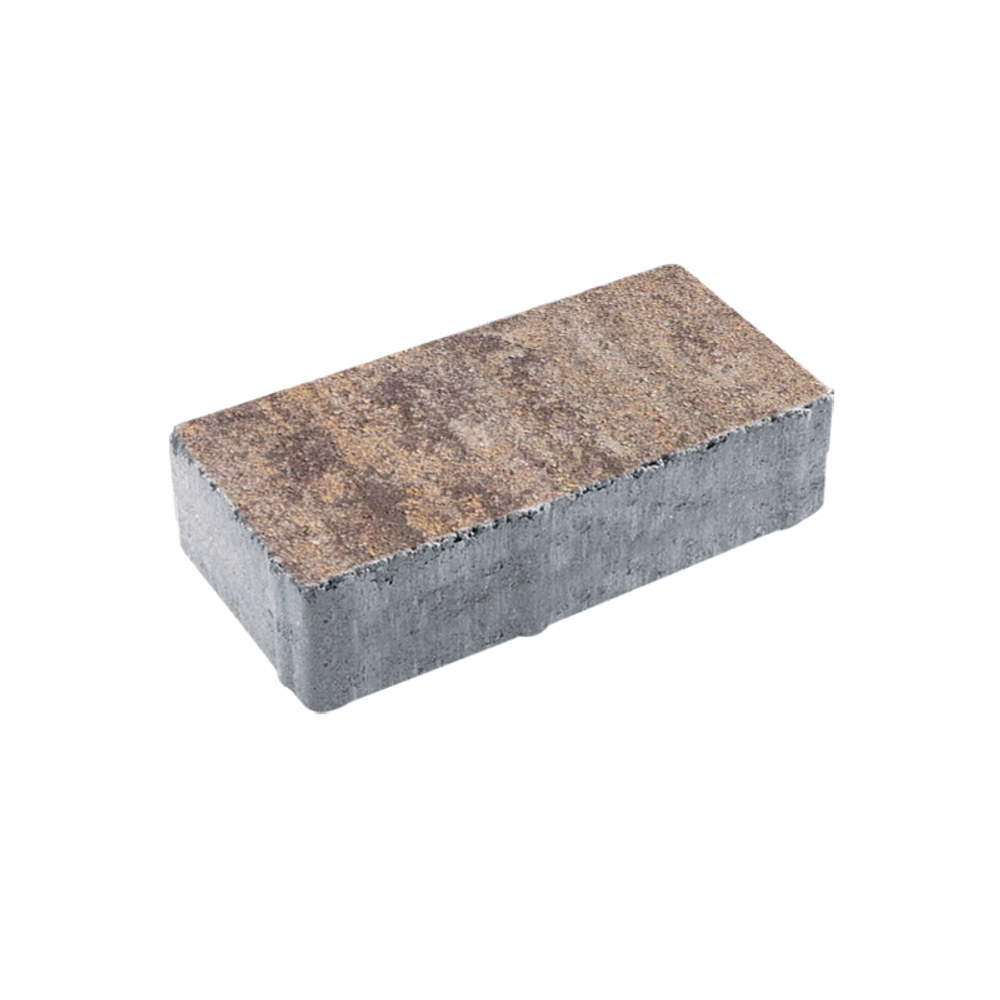 Тротуарная плитка ПРЯМОУГОЛЬНИК 200x100 мм - Искусственный камень Доломит