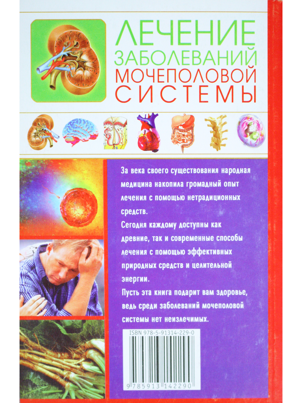 Лечение заболеваний мочеполовой системы