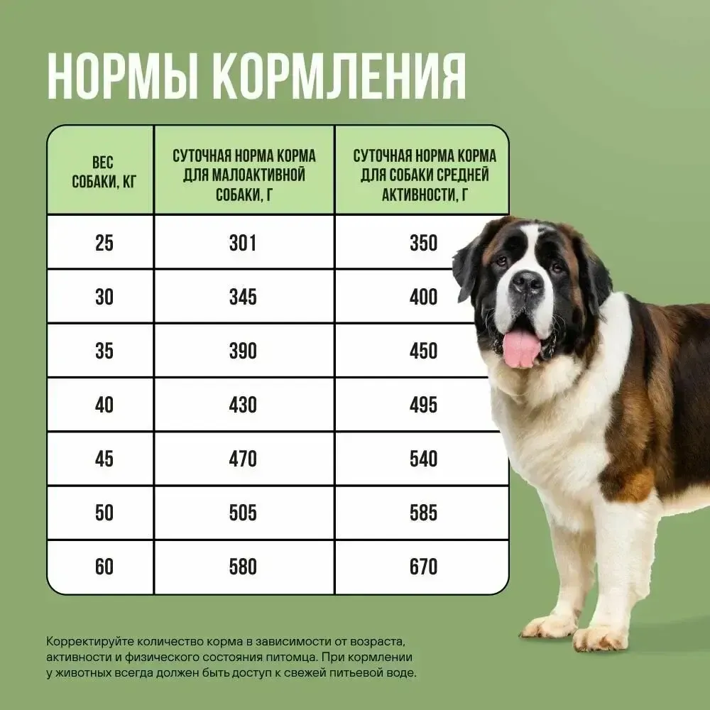 Уценка! Срок 30.03 / Сухой корм BOWL WOW для взрослых собак кр пород с ягненком, индейкой, рисом и цукини