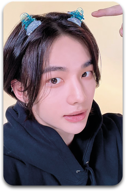 Карта / STRAY KIDS #1156