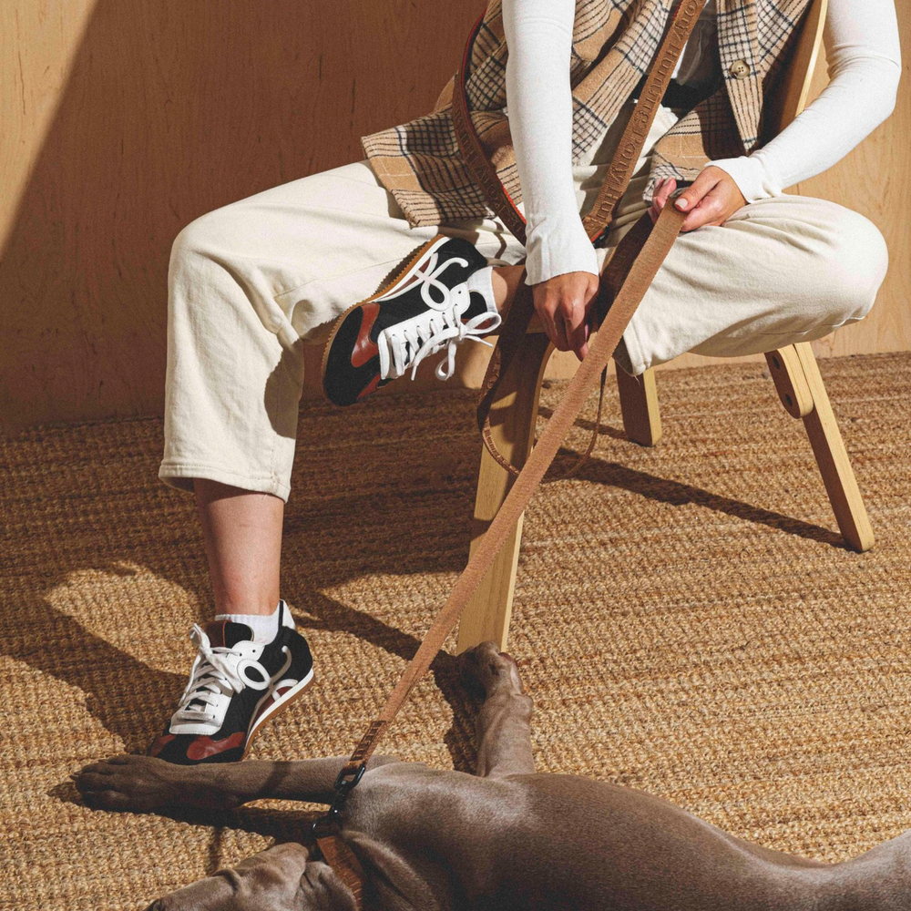 Поводок «Пони-Компаньони» 5 метров HuntingPony