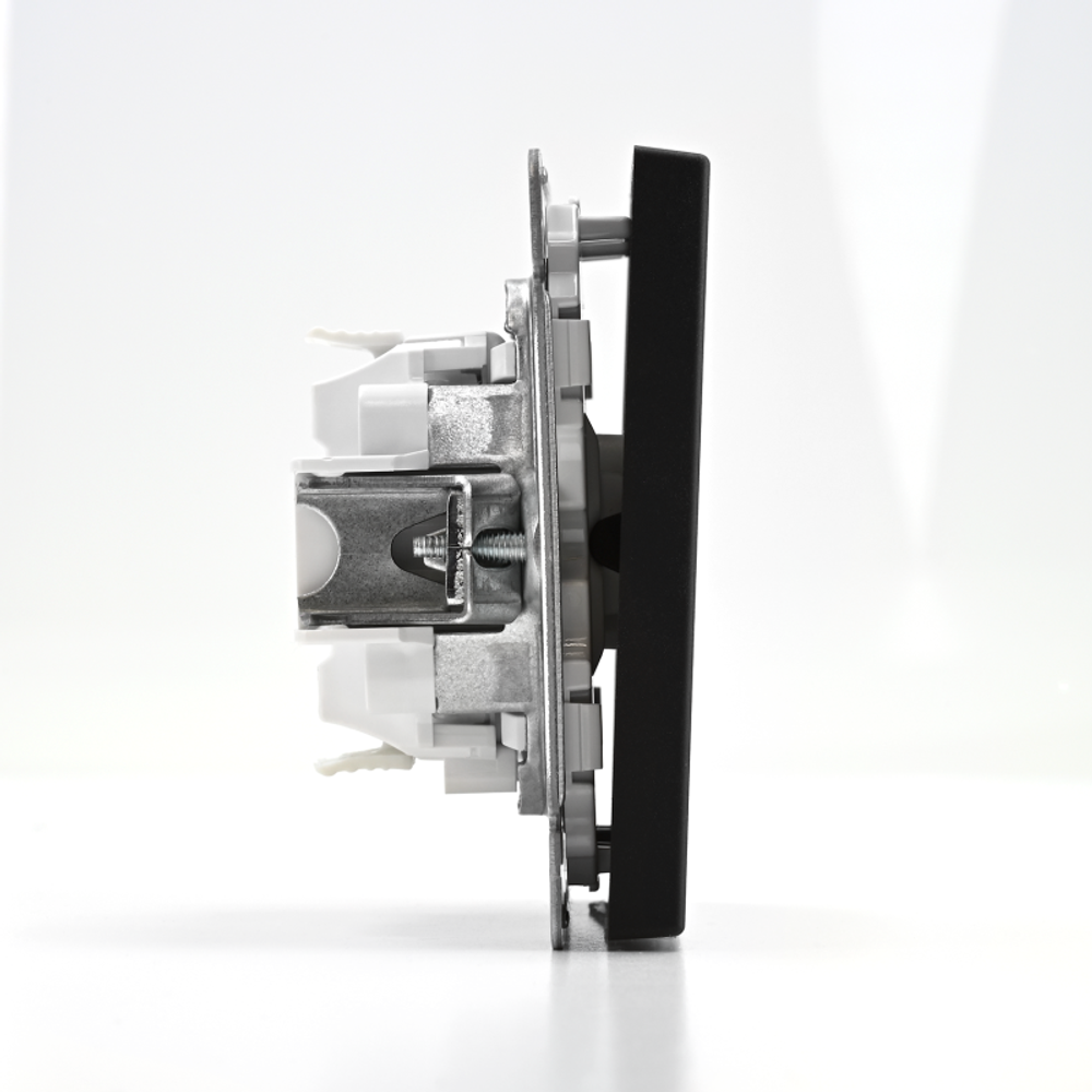 Переключатель 1-кл. ArtGallery 10AX быстрозажим. клем. механизм карбон SE GAL001061S