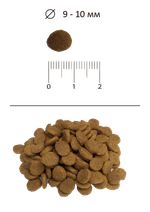 Сухой корм для кошек для взрослых кошек с говядиной Blitz Sensitive Beef Adult Cats All Breeds 10кг