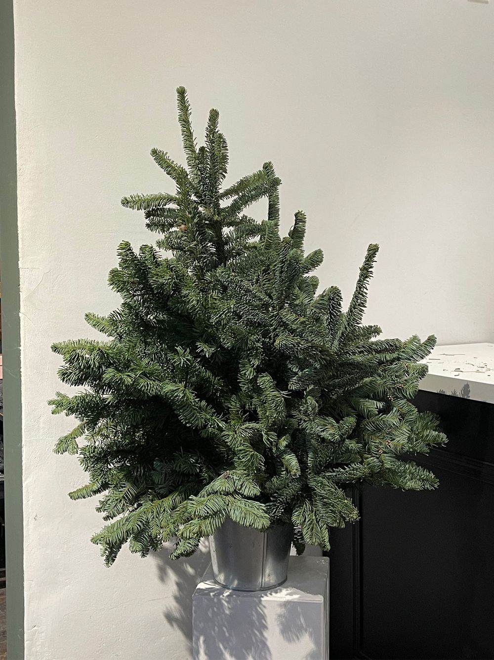 Елка декоративная h-100см