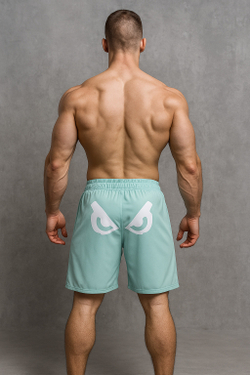 Шорты для MMA Bad Boy Pro Series 2.0 серо-синий