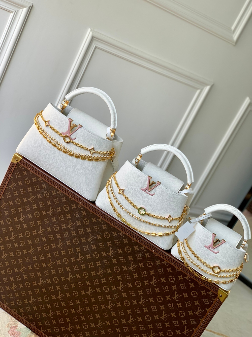 Louis Vuitton Capucines (3 sizes)