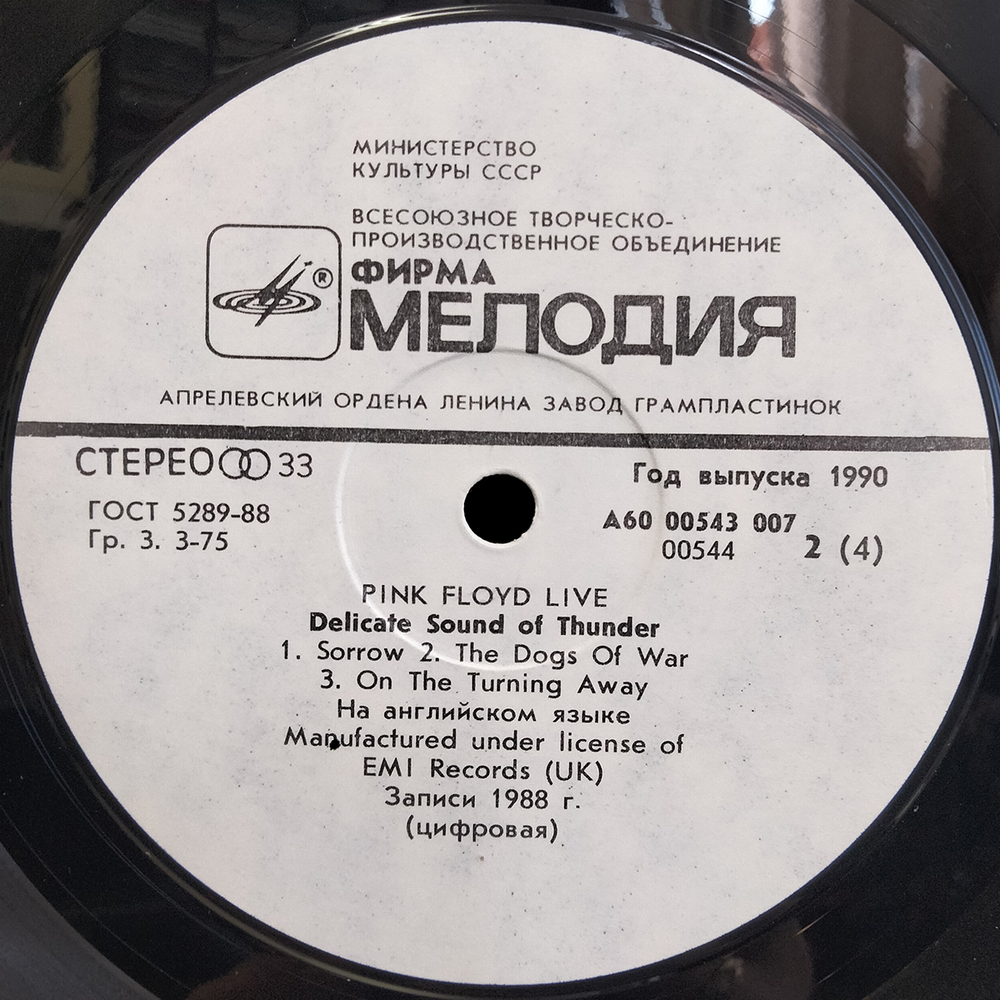 Pink Floyd / Delicate Sound Of Thunder (2LP)