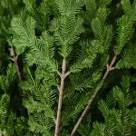 Ель искусственная «Meribel» (Литая хвоя) 210 см / 2,1 м