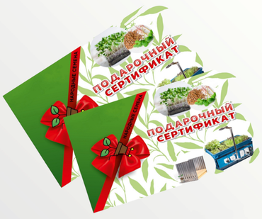 Подарочный сертификат
