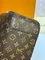 Сумка Louis Vuitton Slouchy, коричневый