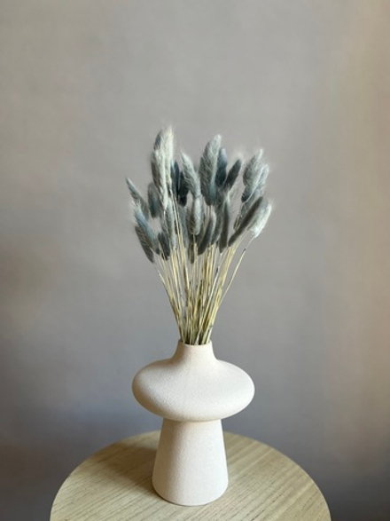 Лагурус серый