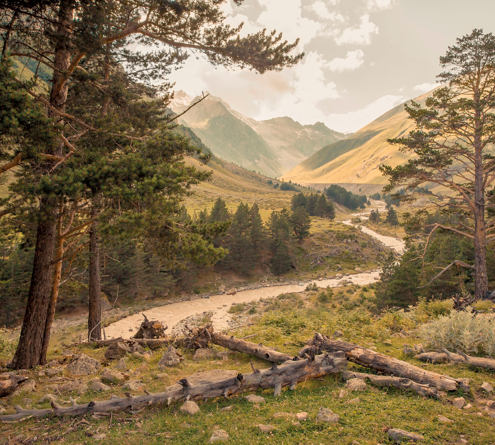 Коллекция Горы