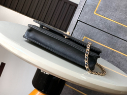 Chanel Bag 20 cm
