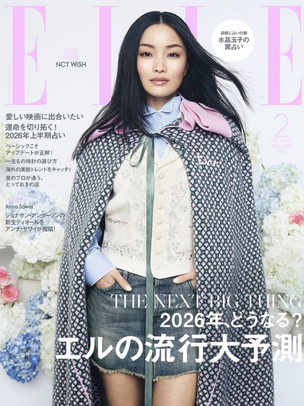 публикация ELLE (JAPAN) - 2026.02 ANNA SAWAI Regular Edition