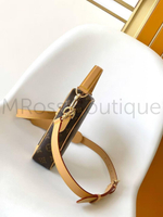 Мужская сумка Louis Vuitton Danube коричневого цвета с узором монограм