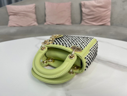 Christian Dior Lady Dior Micro