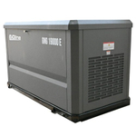 Газовая электростанция Evoline GNG 19000 E GNG19000E