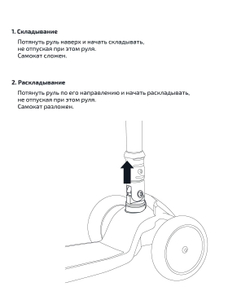 Самокат 3-колесный Bunny, 135/90 мм, голубой/зеленый