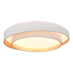 *SLE6009-502-01 Светильник потолочный Белый/Белый LED 1*50W 3000K/4000K/6000K