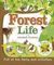 Forest Life and Woodland Creatures