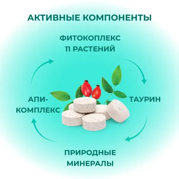 Фитокомплекс Фитомины Форте для пожилых собак и кошек, 200 таблеток