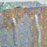 Пакет бумажный 18*23+10см с ручками Голография микс MG213-214