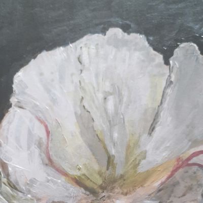 Пион на темном