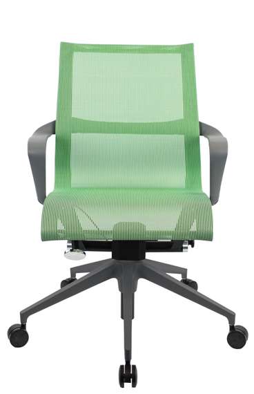 Премиум кресло Everprof Chicago Grey Сетка Зеленый