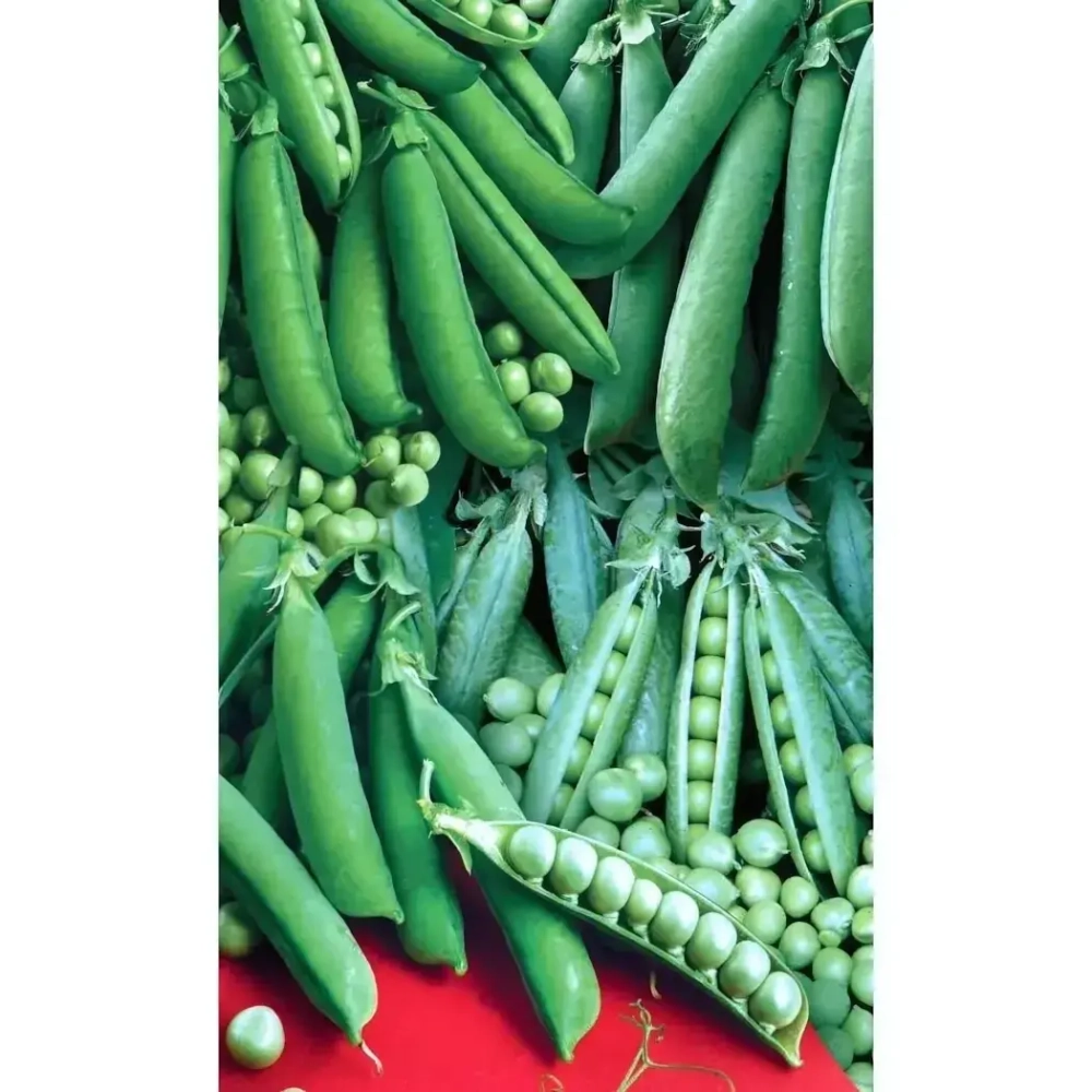 Семена Горох Сахарный Деликатес - смесь сладких сортов (УД) 8гр Е/П