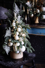 Ёлочка Эскимо