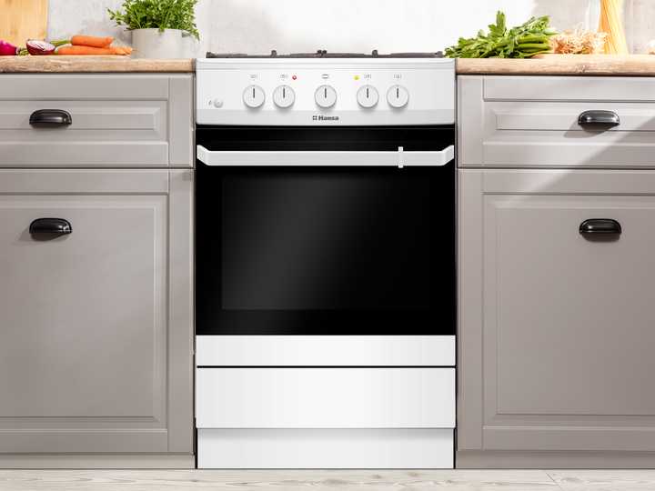 Комбинированная плита Hansa FCMW53010