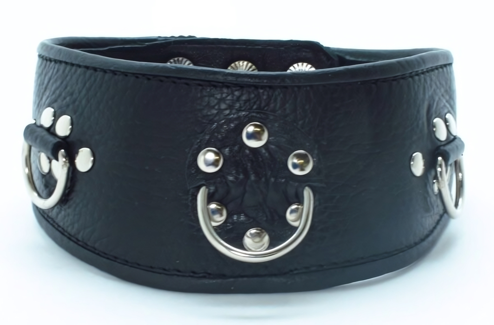Чёрный кожаный ошейник с полукольцами и клёпками (Цвет: черный)