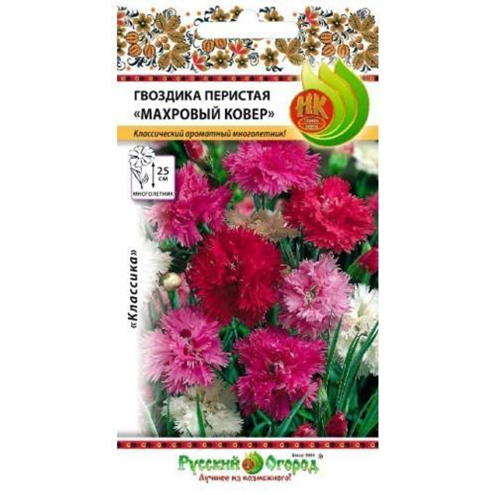 Семена Гвоздика перистая Махровый ковер