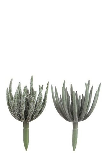 Эчеверия в инее большая в ассортименте 9х9х18см