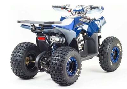 Квадроцикл MOTOLAND 125 COYOTE (2021 Г.)