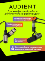 Внешняя звуковая карта Audient iD4 MKII