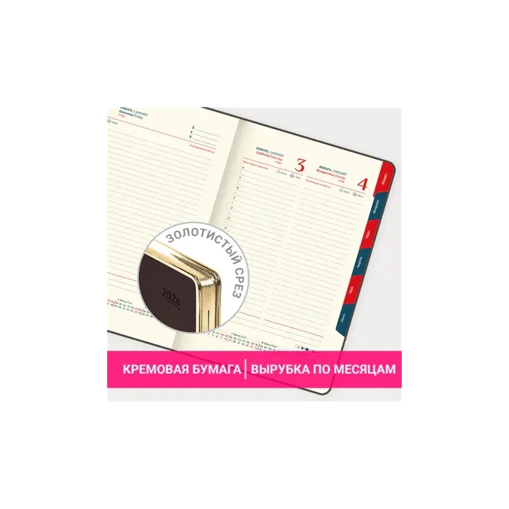 Ежедневник датированный 2026 А5 148х218 мм, GALANT "Infinity Gold", под кожу, темно-коричневый, 117501